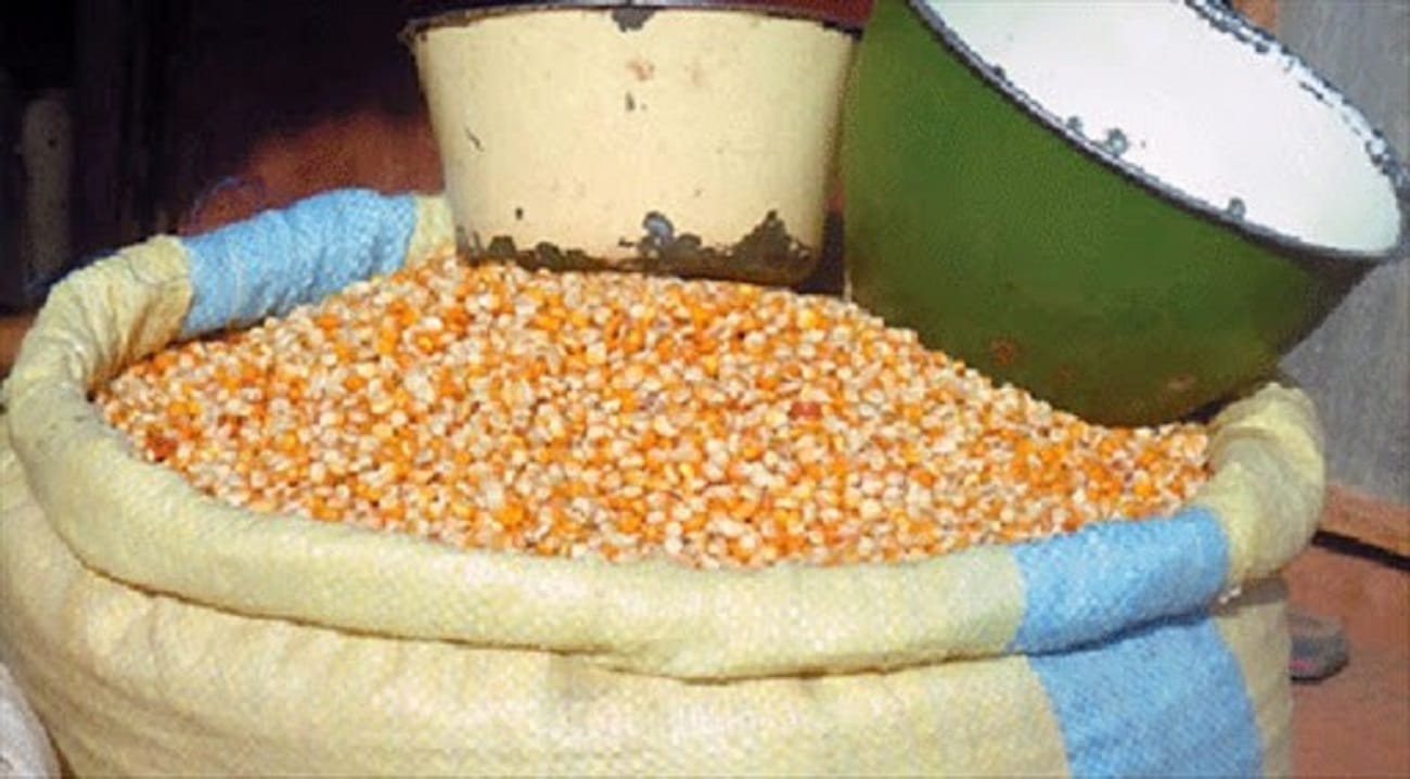 Benin: Lifting of the ban on the export of food products