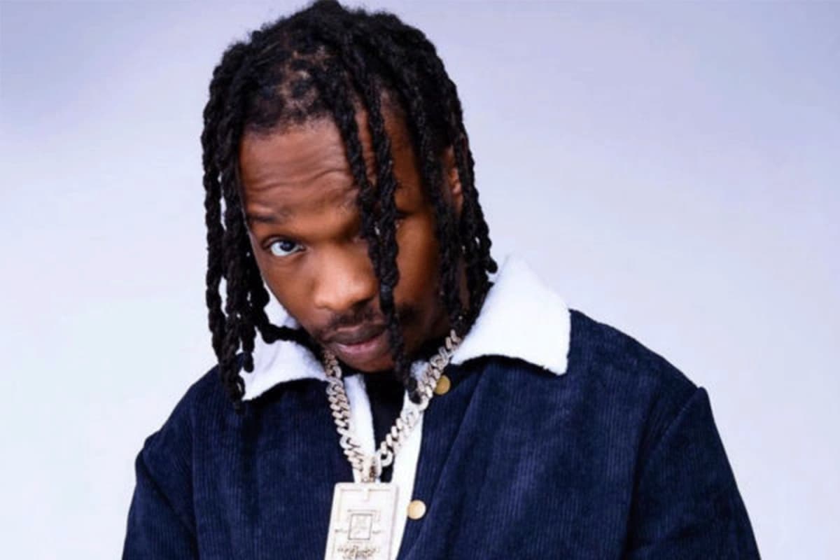 Benin: A fan tries to rush the stage during Naira Marley’s concert (video)