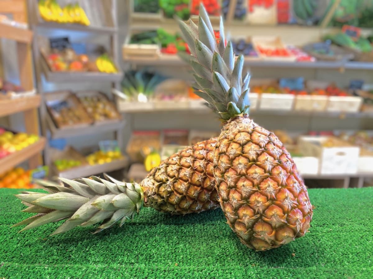Exports: Benin entrusts Havas Paris with promoting the “Pain de Sucre” pineapple in France