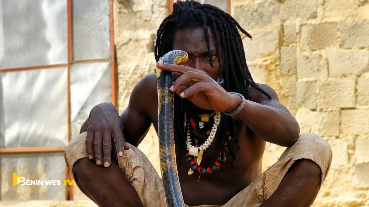Benin: Degaule PANDA the wise fool called in for backup to capture the large snake reported in Agla.