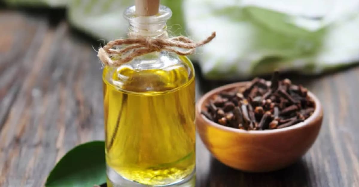 Clou de girofle : son astuce à l’huile de Coco pour éliminer les rides et les boutons du visage