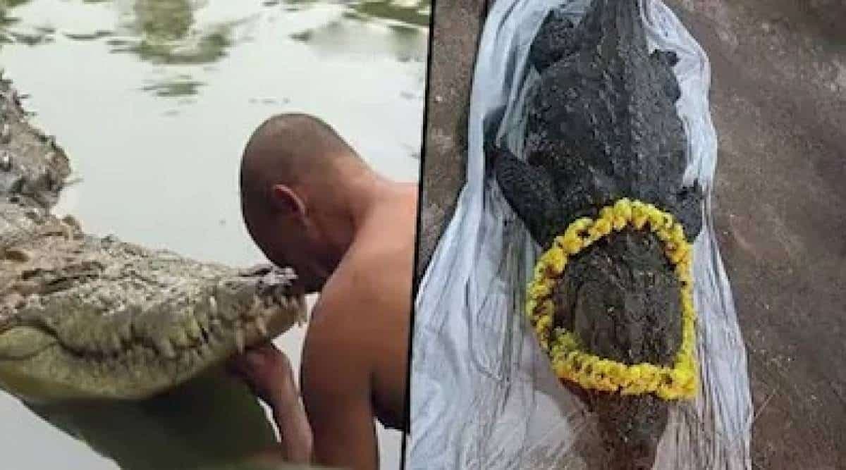 Inde: funérailles grandioses de Babia, un crocodile « divin » et « végétarien »