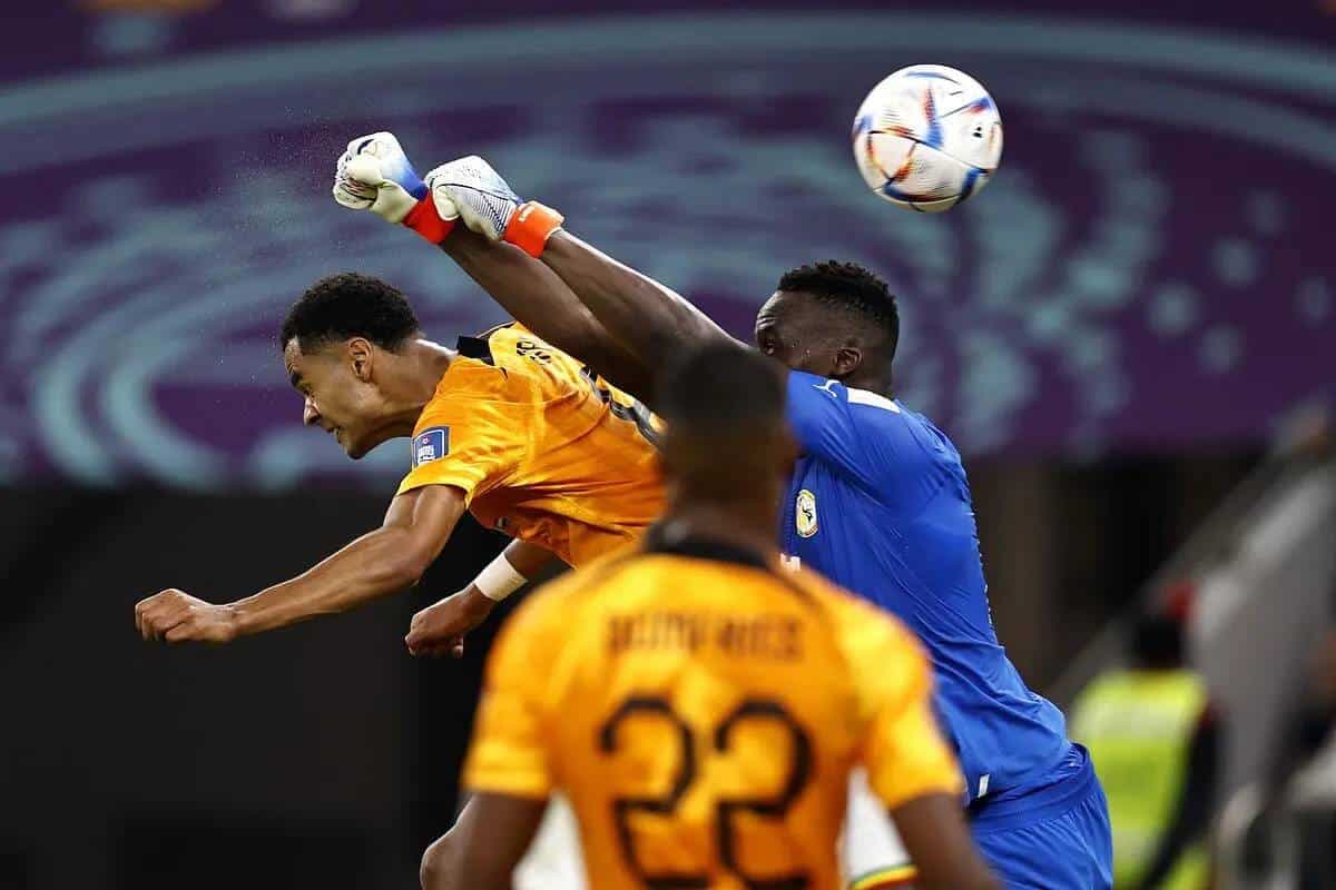 Qatar 2022: Twitter détruit Edouard Mendy après Sénégal vs Pays-Bas