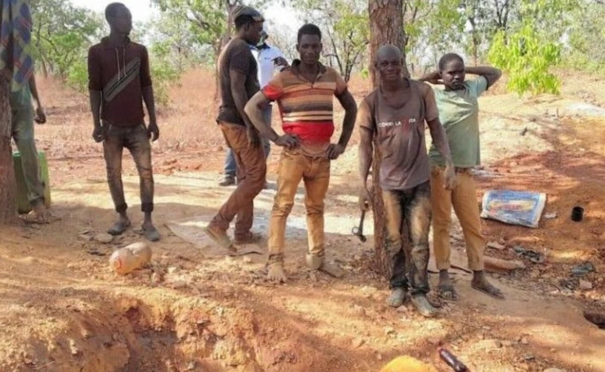 Côte d’Ivoire: il écope d’une amende de 50 millions FCFA pour orpaillage illégal