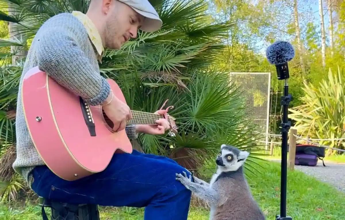 Plumes: le chanteur qui murmure aux oreilles des animaux en tournée dans les parcs animaliers