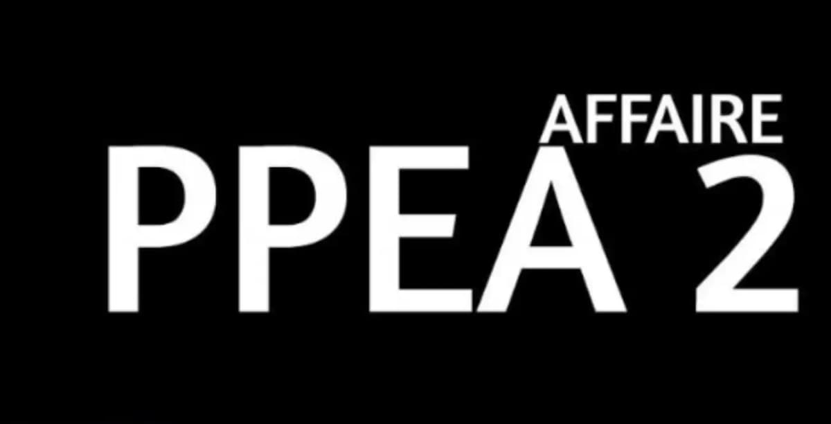 affaire ppea 2