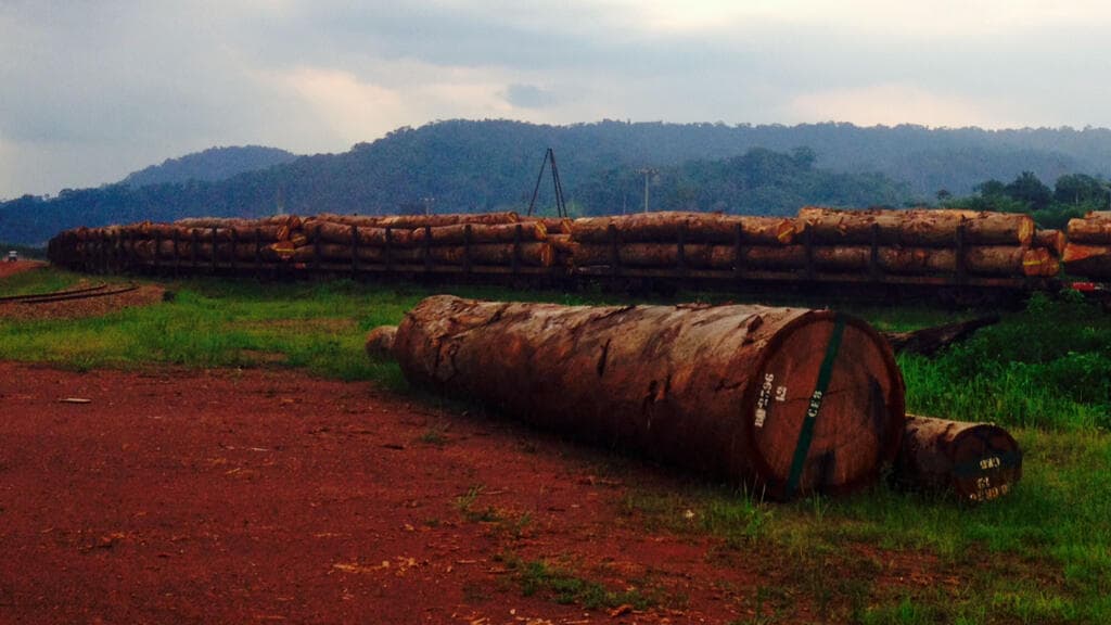 Crise de la dette africaine : investir et transformer localement les ressources