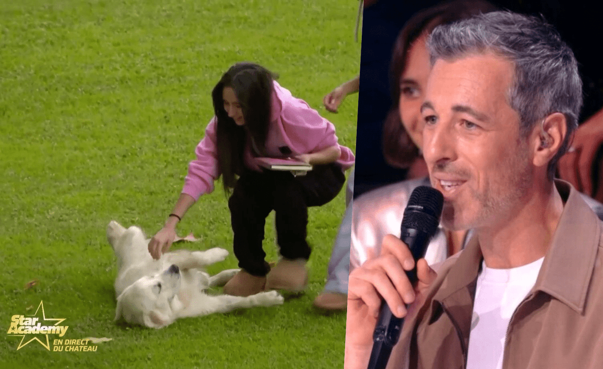 Michael Goldman a déménagé près du château de Dammarie-les-Lys pour sa chienne Wendy