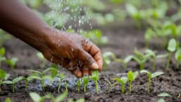 Côte d’Ivoire : vers une exonération de la TVA sur les engrais