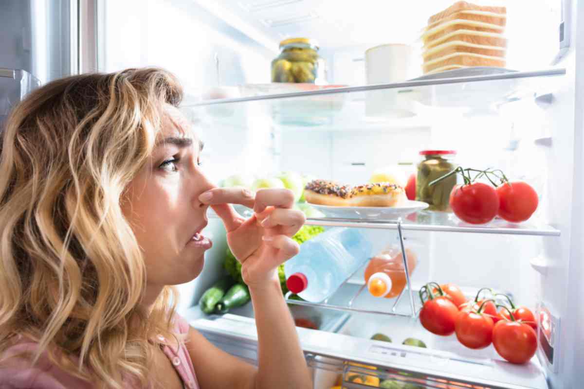Cuisine : recette de grand-mère pour dire adieu aux odeurs dans le frigo