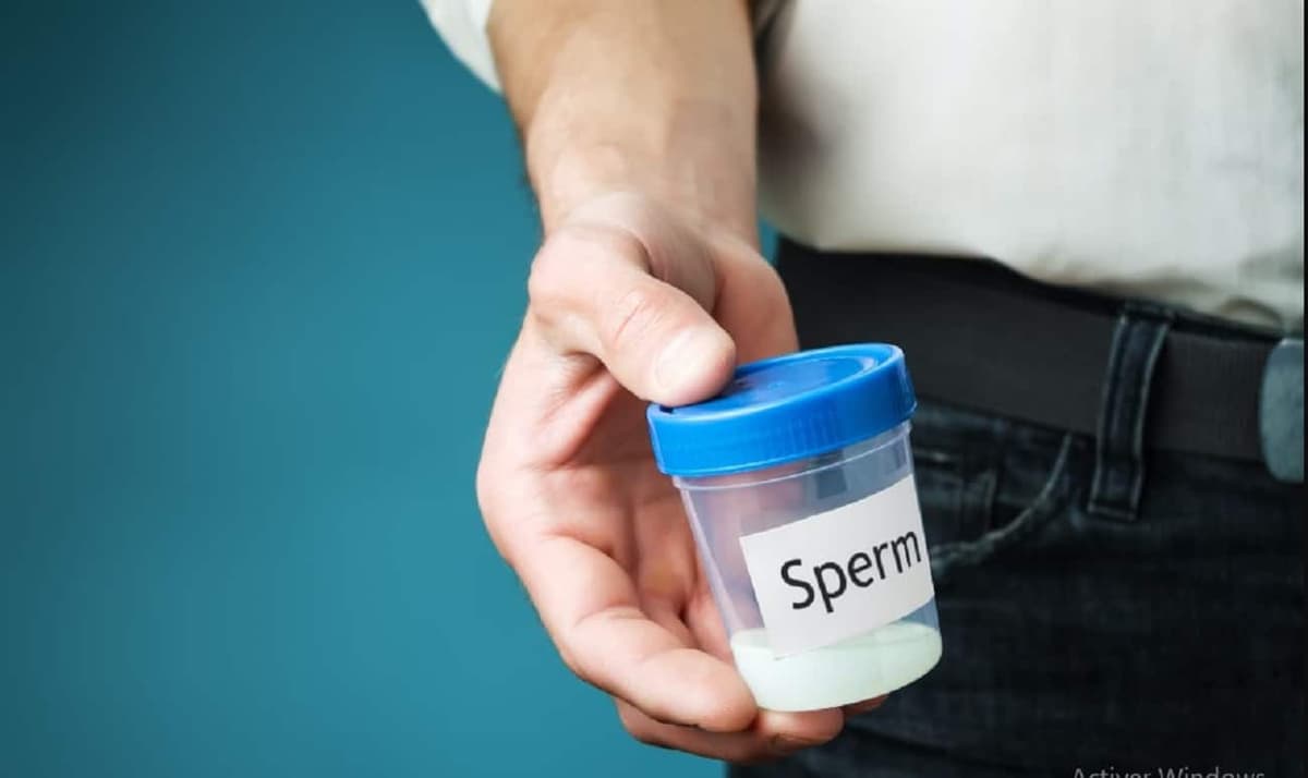 Pays-Bas: un « super donneur » de sperme, à l’origine de plus de 500 bébés, condamné