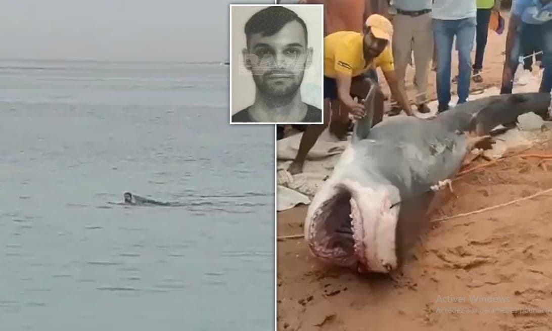 Egypte: un touriste russe déchiqueté et mangé par un requin devant son père (Vidéo)