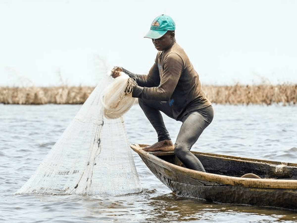 Togo: suspension des activités de pêche sur le lac Nangbéto