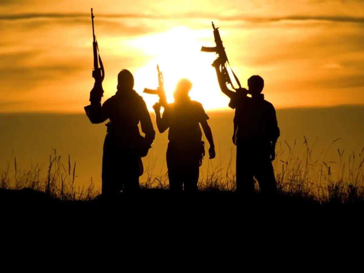 Des djihadistes du Sahel installés au Nigéria après avoir traversé le Bénin (Rapport)