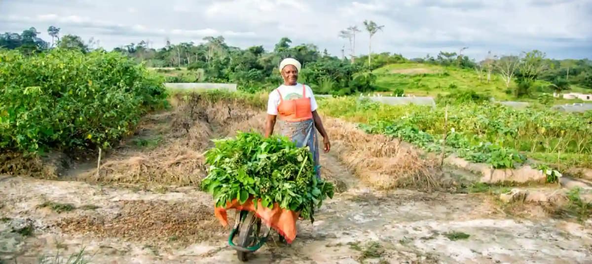 Des journalistes outillés sur l’Agroécologie et la Justice Climatique en Afrique de l’Ouest