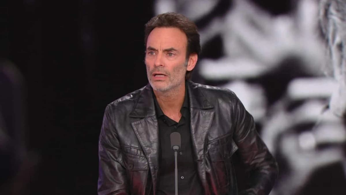Anthony et Alain‑Fabien Delon condamnés, le conflit familial avec leur sœur se poursuit