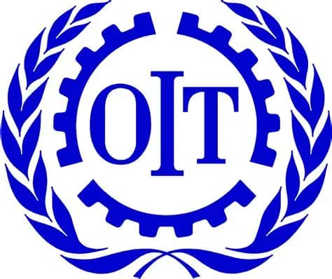 Économie numérique: L’OIT adopte le premier traité mondial pour protéger les travailleurs des plateformes