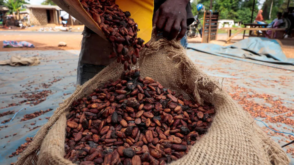 Africa: less than 10% of the global value captured in most tree fruit sectors.
