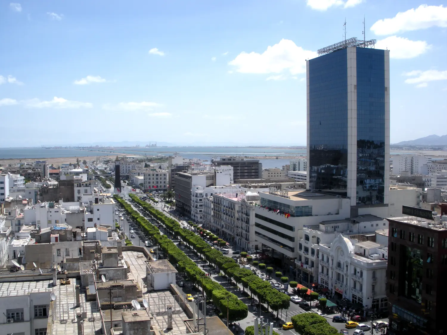 Tunisia: growth slows in the second quarter despite agriculture and services