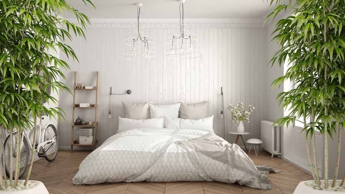 Bon à savoir : découvrez 04 plantes décoratives pour avoir un sommeil doux