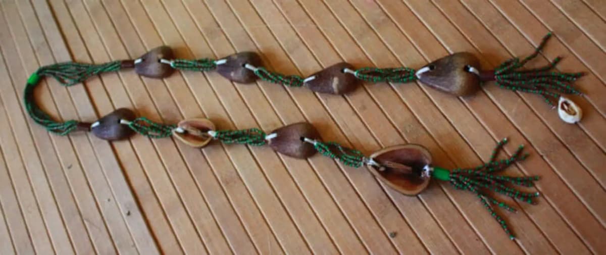 Bénin – Tofa 2024: « SA AKLAN » révèle une période de prospérité et de succès