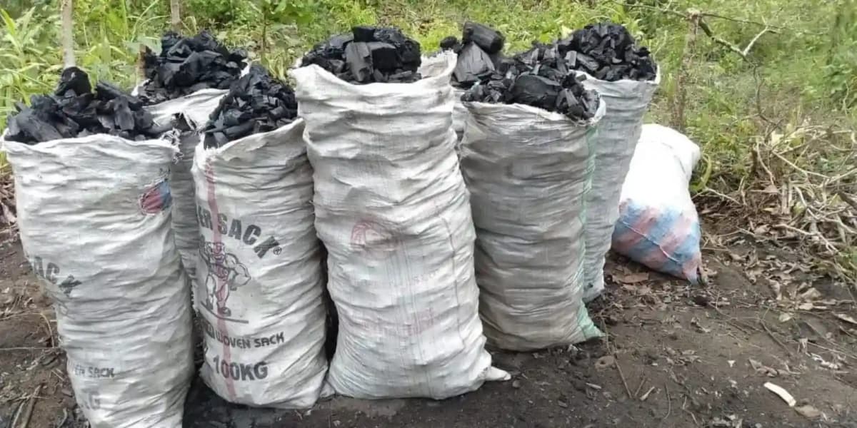 Construction d’un marché au charbon et de pharmacopée à Cotonou : le gouvernement donne son accord