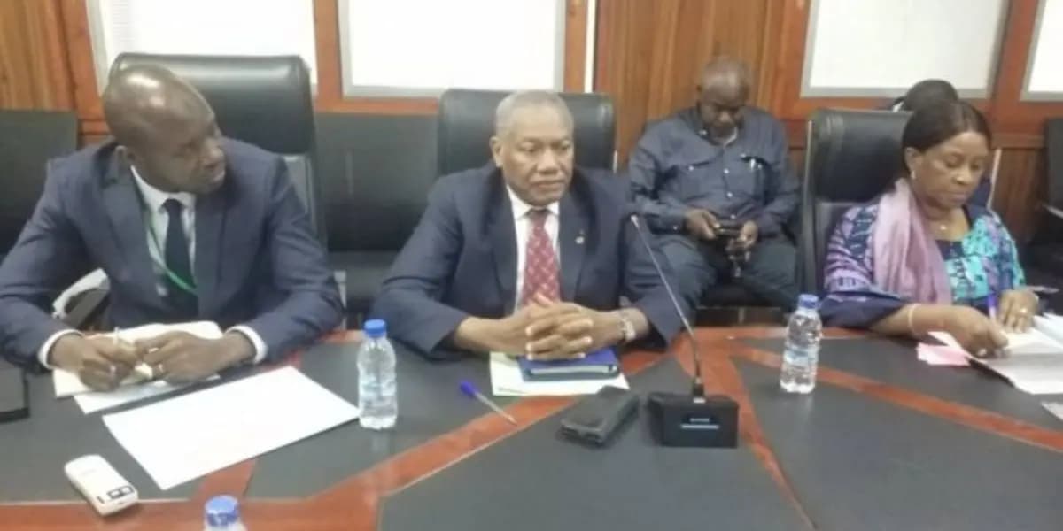 Côte d’Ivoire: Dicoh Balamine nommé administrateur provisoire à MATCA