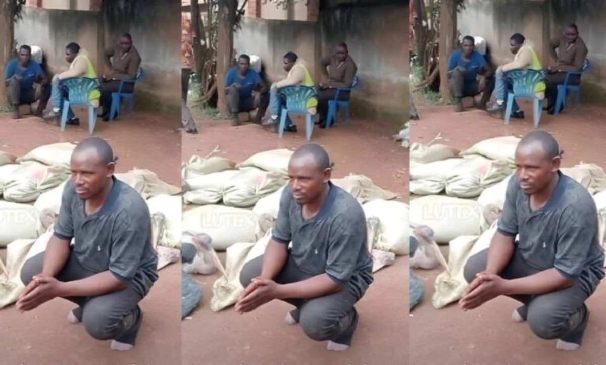 Nigeria: ce restaurateur qui sert de la viande de vautour à la place du poulet