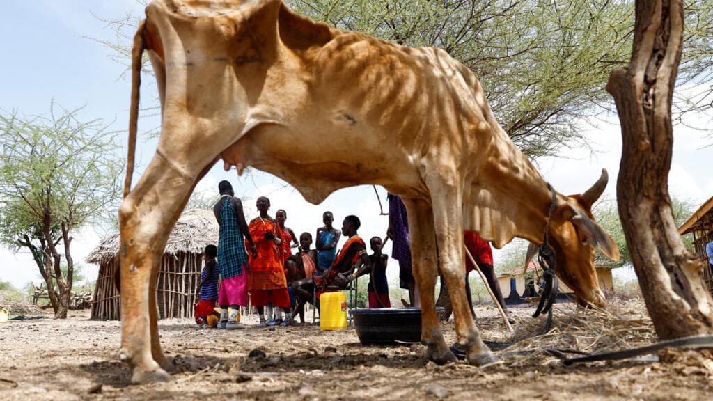 Au Kenya, la sécheresse la plus grave depuis 1981