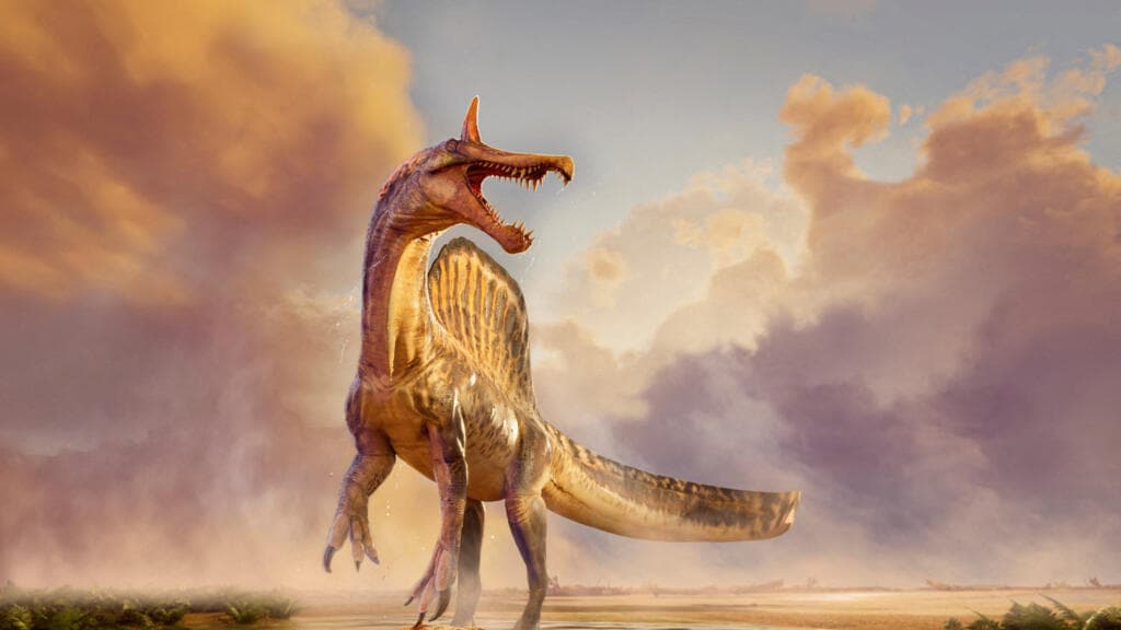 Niger : découverte d’un nouveau Spinosaurus daté de 95 millions d’années