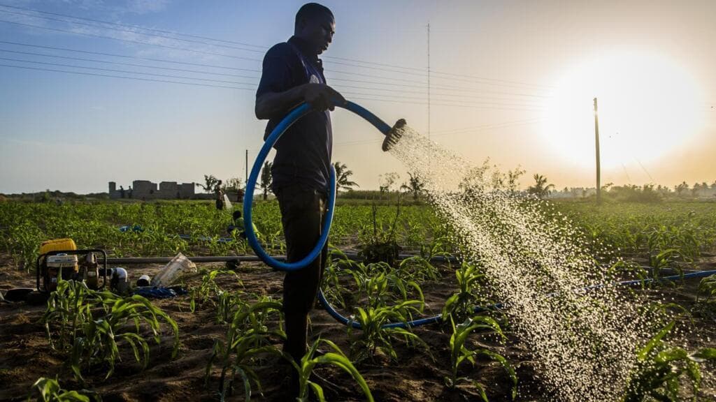Le Ghana veut industrialiser l’agriculture avec l’aide de la Chine