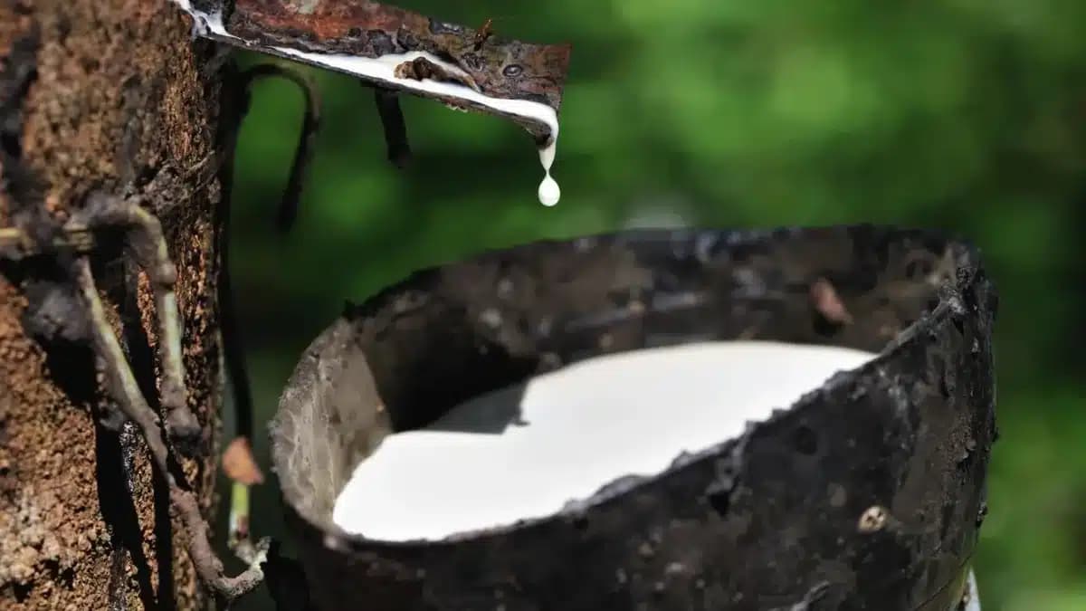 Côte d’Ivoire : une affaire de disparition de 6 milliards secoue la SRCI