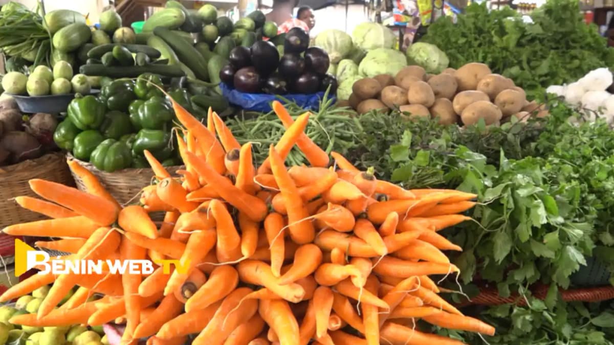 Cooking Without Destroying: Vegetables, Secrets of Health and Well-Being in Benin
