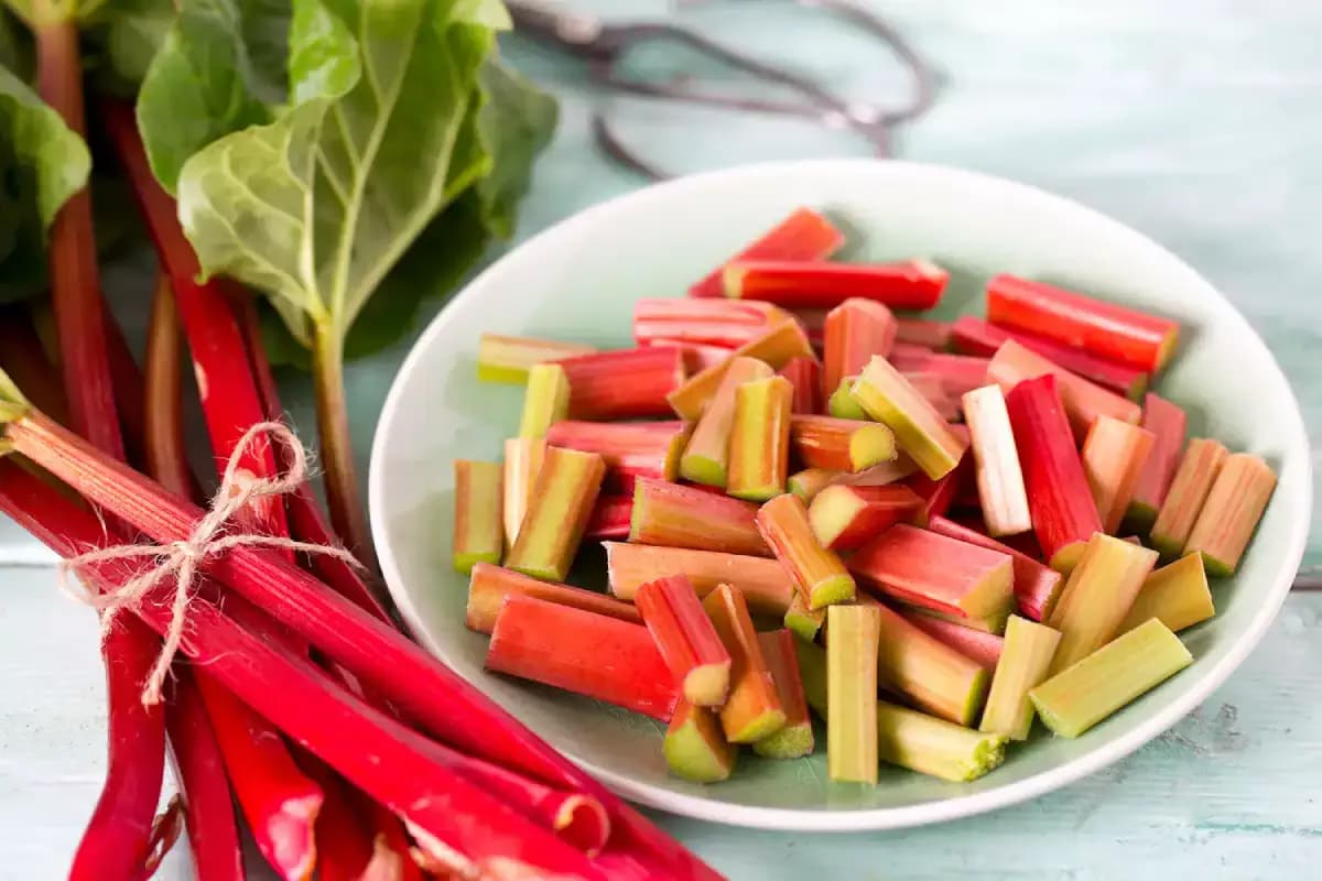 Cuisiner la rhubarbe © Diana Taliun - 123RF