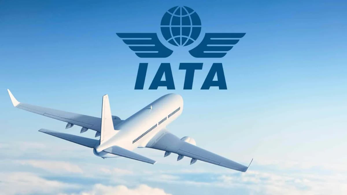 L’IATA (Association du transport aérien international) représente quelque 350 compagnies aériennes qui assurent plus de 80 % du trafic aérien mondial.