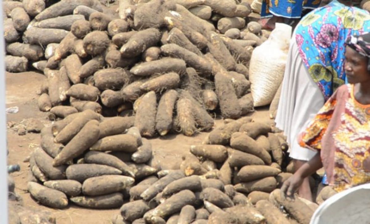 Afrique de l’Ouest : 20 millions d’euros pour accélérer l’agroécologie