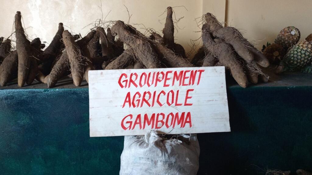 Congo : la deuxième Grande Foire agricole s’achève à Bambou-Mingali