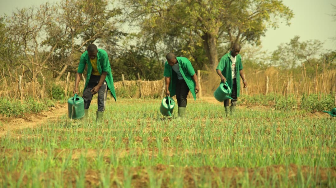 Bénin : dix nouvelles filières DTM ouvrent dans les Lycées techniques agricoles