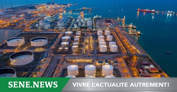 Woodside retire deux objectifs bas carbone et avance sur Sangomar au Sénégal