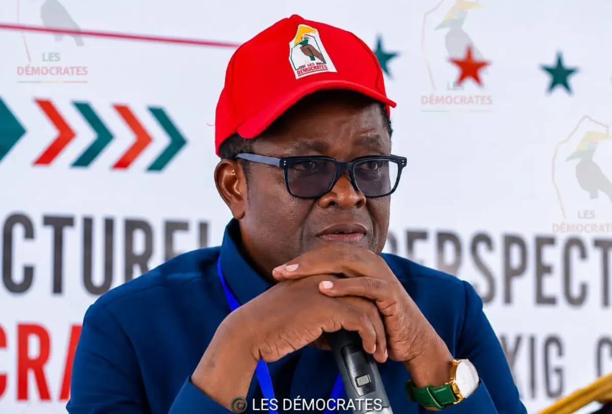 Bénin: Les Démocrates appellent le Sénat à œuvrer pour un réexamen des lois controversées