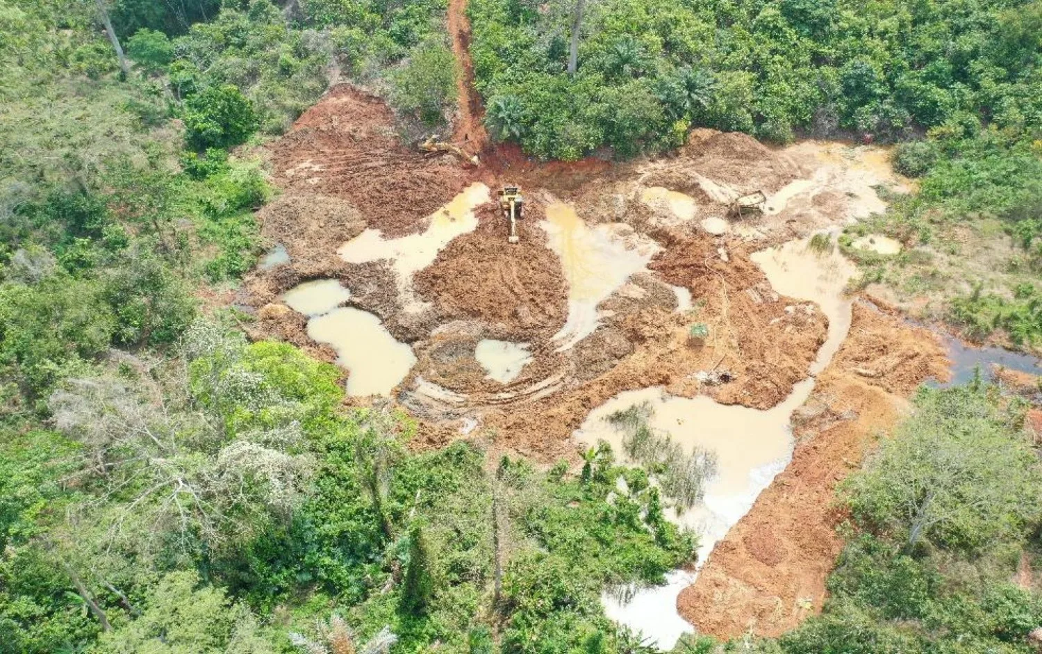 Orpaillage clandestin en Côte d’Ivoire : un député propose un moratoire de cinq ans