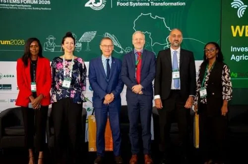 Afrique : le FIDA injecte 10 millions de dollars dans les jeunes pousses agroalimentaires