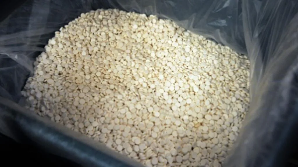 Afrique du Sud : un laboratoire clandestin de drogues de synthèse démantelé dans une ferme du Nord-Ouest