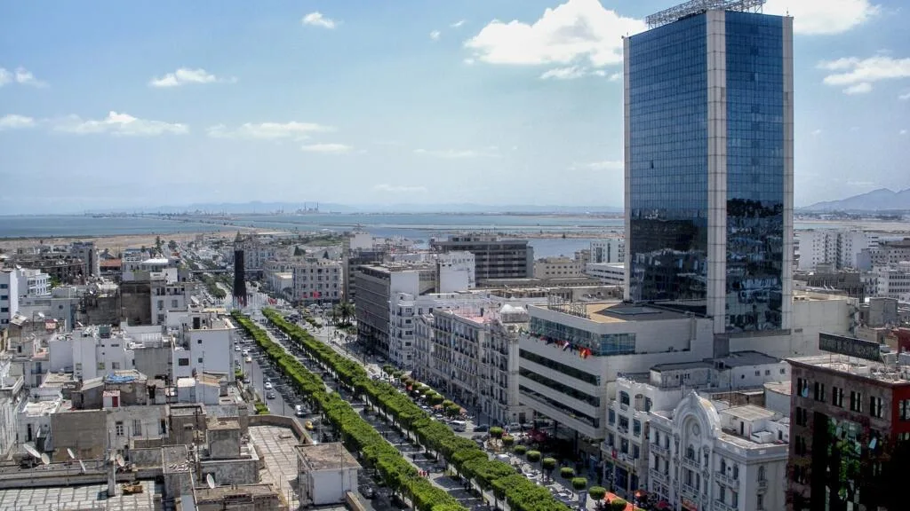 Tunisie : la Cour de cassation examine les recours du dossier du complot contre l’État