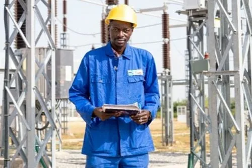 Transition écologique en Afrique : Swedfund accorde un prêt de 20 millions de dollars à l’Africa Go Green Fund