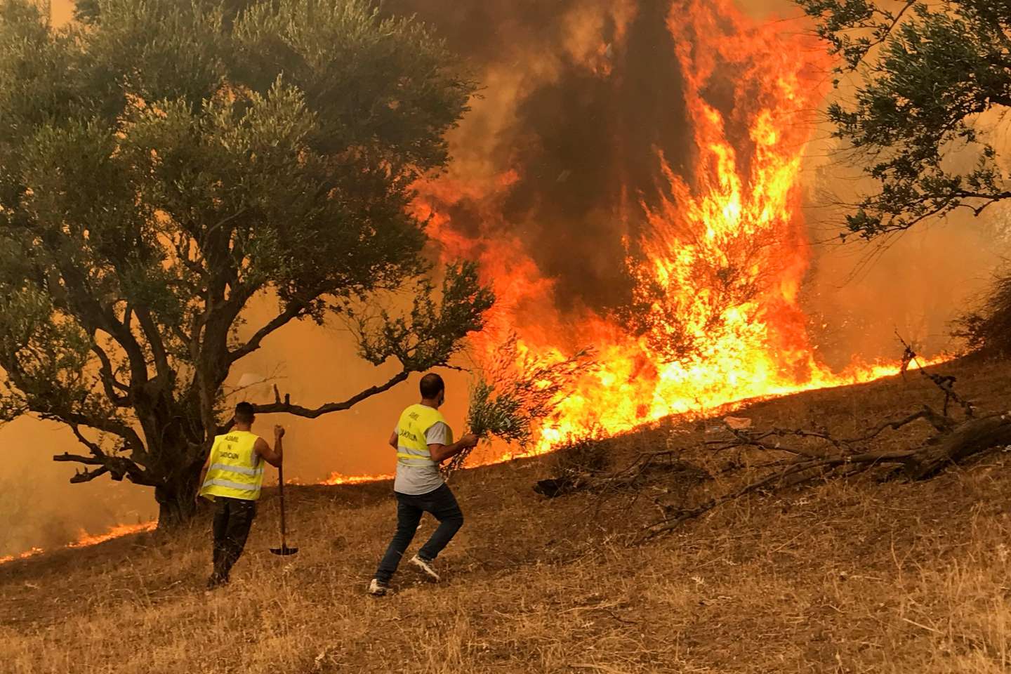 Parakou : more fear than harm in a fire in Kpébié
