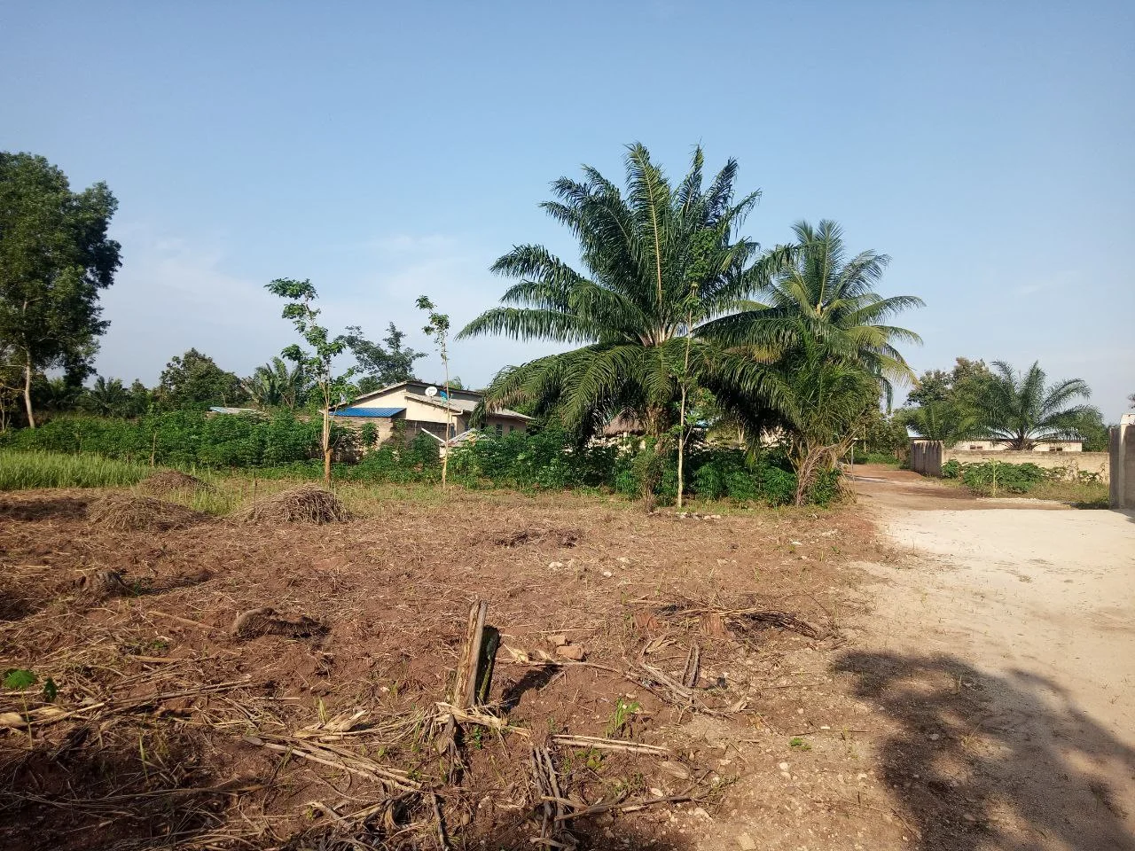 Benin: ANDF warns about a fake website selling plots of land.