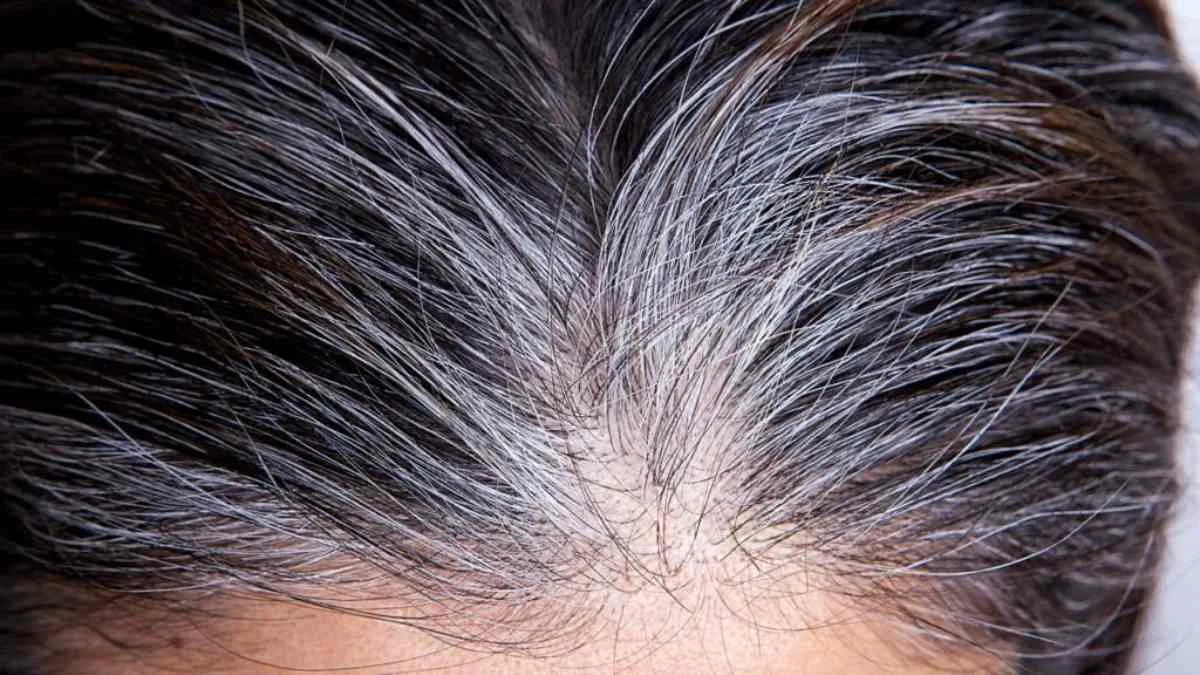 Gray Hair: Gray Blending Gains Popularity with More Subtle Touch-Ups