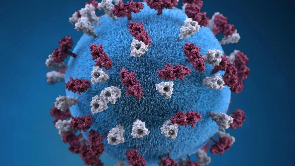 Bangladesh: More than 1,000 Deaths Linked or Suspected from Measles