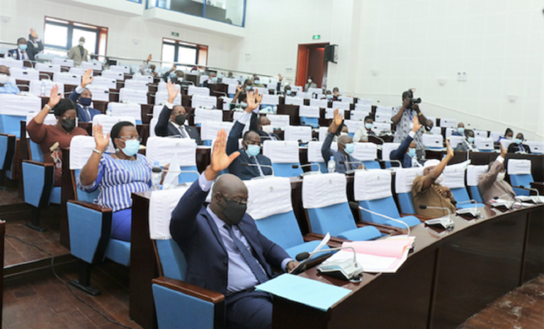 L'AssemblÃ©e Nationale du Togo